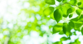 環境（Environment）