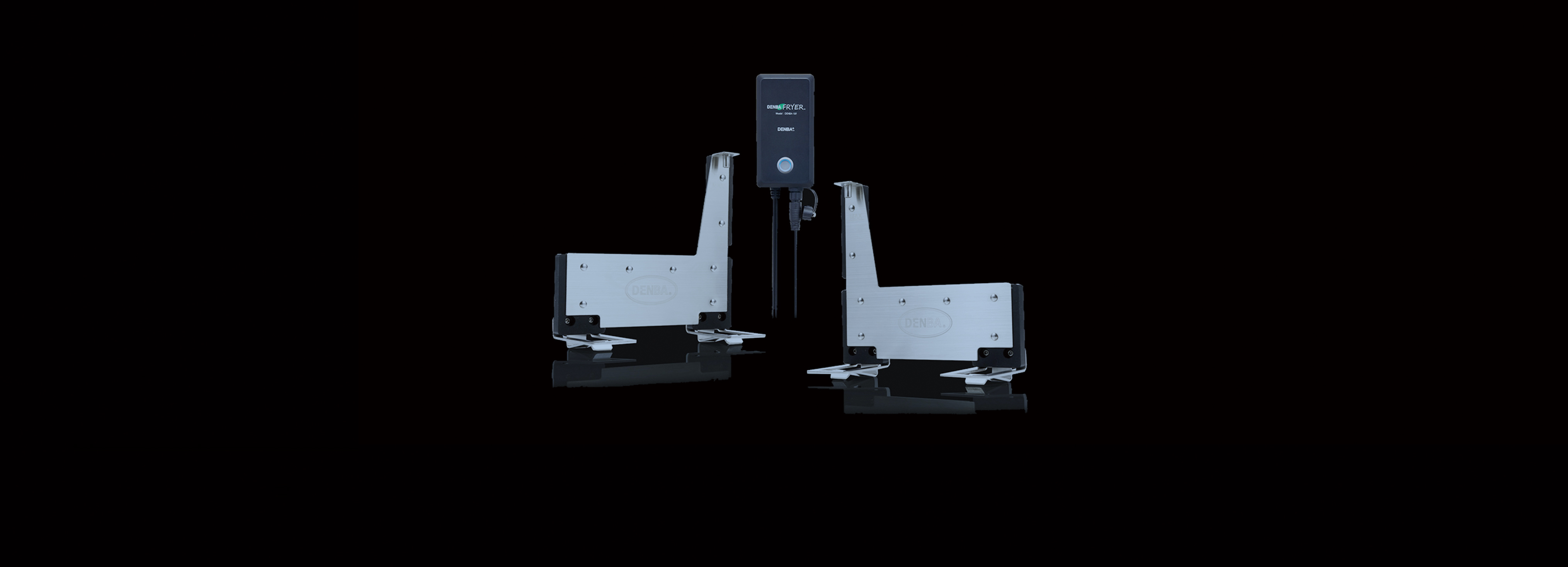 DENBA FRYER